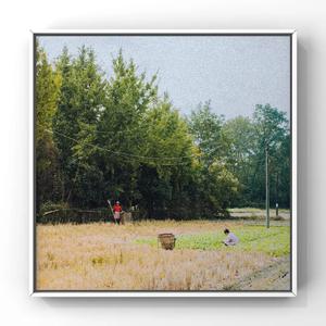 国产福利酱国产一区二区
